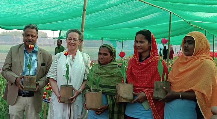 পঞ্চগড়ের টিউলিপ বাগান পরিদর্শনে ডেনমার্কের রাষ্ট্রদূত